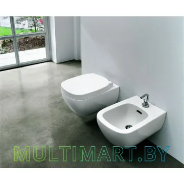 Унитаз Laufen Palomba 8208010000001 картинка 4